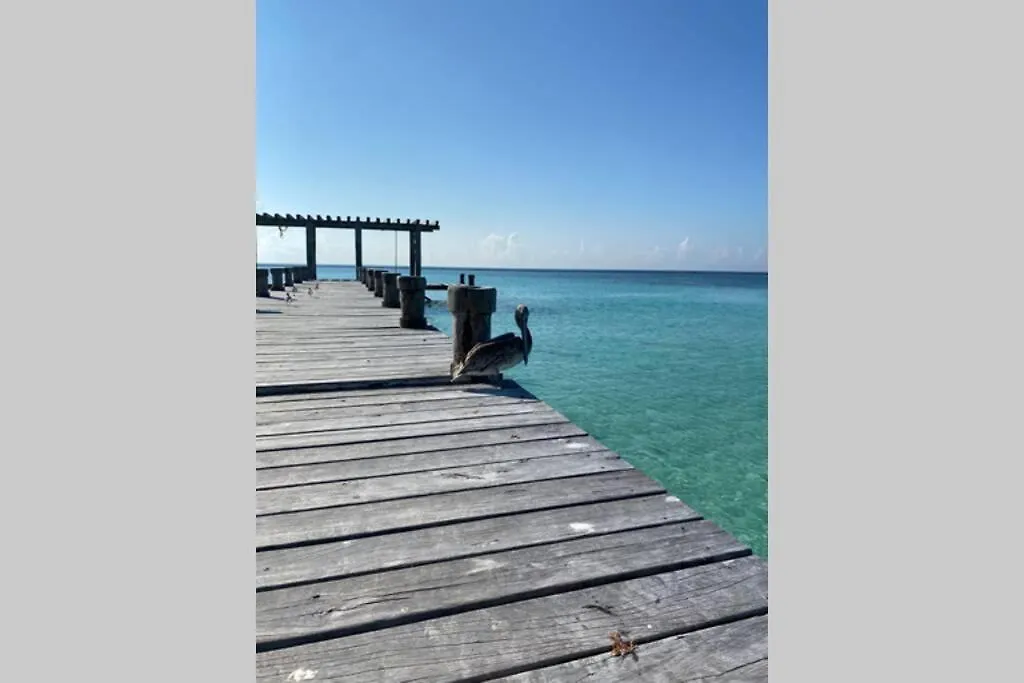 Blue Angel 4 Villa Playa del Carmen Holiday home